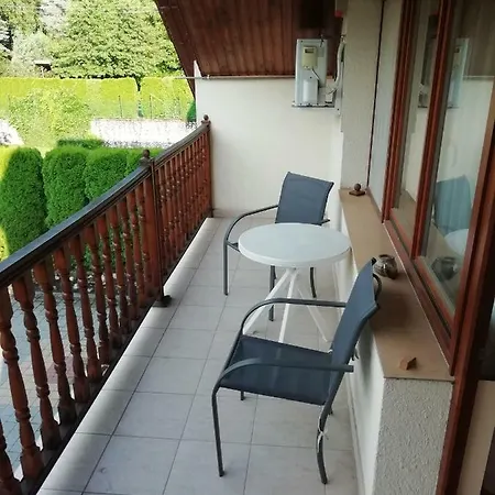 Asta La Vista Miszkolc